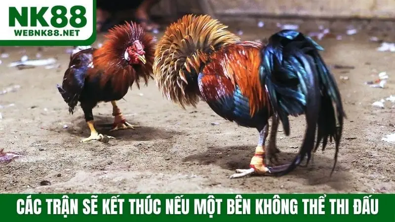 Các trận sẽ kết thúc nếu một bên không thể thi đấu