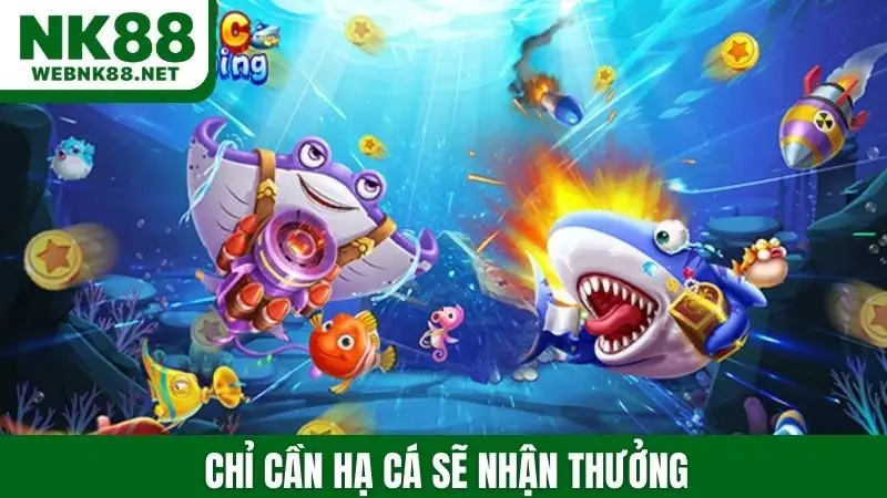 Chỉ cần hạ cá sẽ nhận thưởng