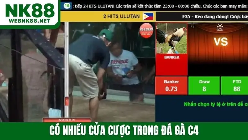 Có nhiều cửa cược trong đá gà C4