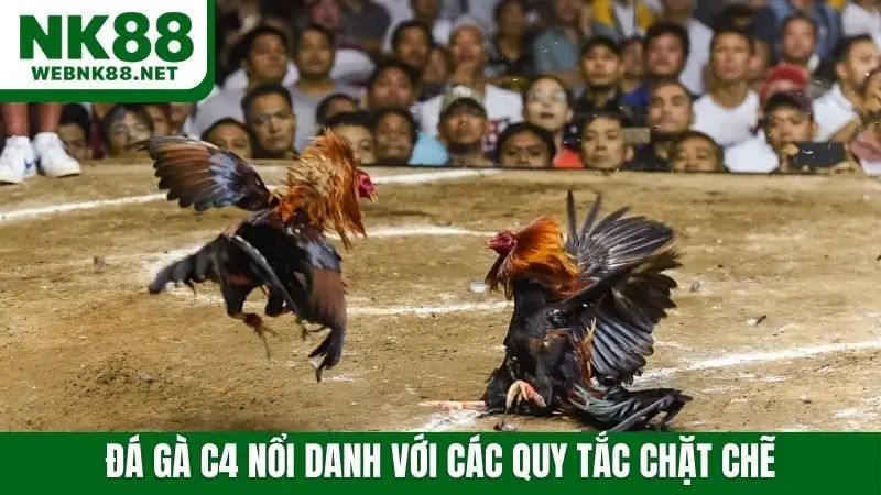 Quy tắc chơi đá gà C4 chặt chẽ